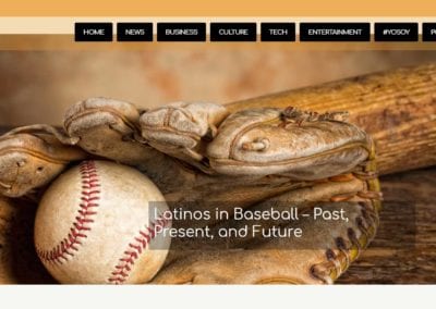 webby award winning website designer sandy rowley