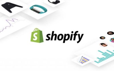 Shopify Web Developer