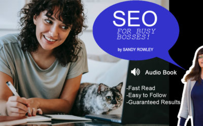 SEO For Busy Bosses by Sandy Rowley 🎧 Free Audio Book