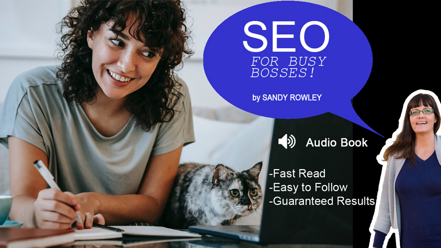SEO For Busy Bosses by Sandy Rowley 🎧 Free Audio Book