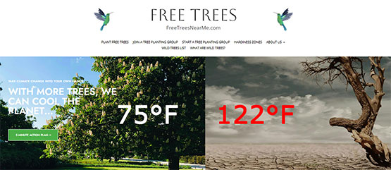 Free Trees Near Me