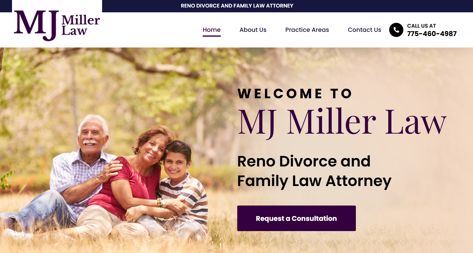 Family Law in Reno Nv