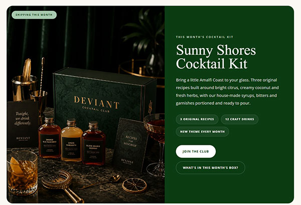 Shopify Store Expert in Reno Nv